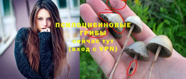 дмт Володарск