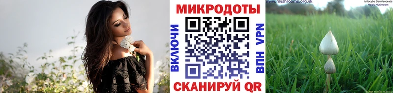 Псилоцибиновые грибы ЛСД  Купить закладки  Лабытнанги 